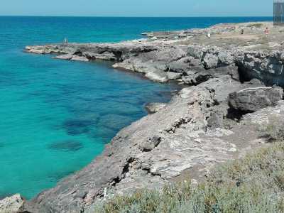 Pi� avanti la scogliera diventa pi� alta e si affaccia su un mare che tende al verde